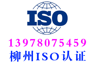 广西柳州ISO31000风险管理体系认证